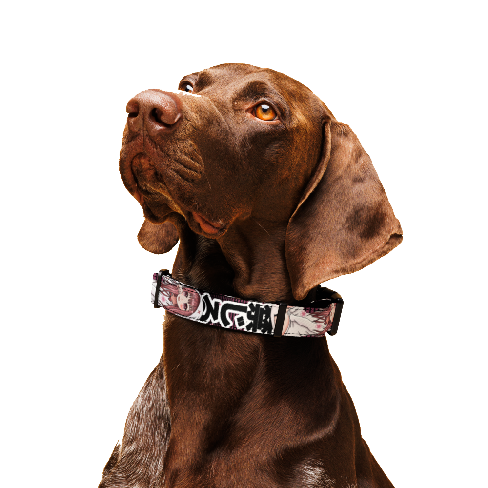 Anime Pet Collar