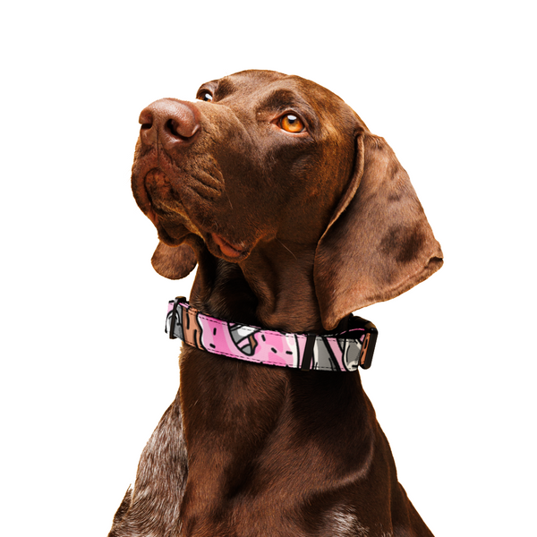 Donut Pet collar
