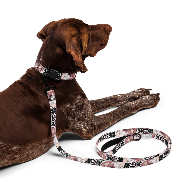 Anime Pet collar & leash