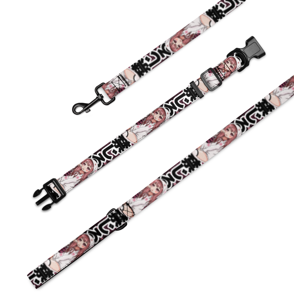 Anime Pet collar & leash