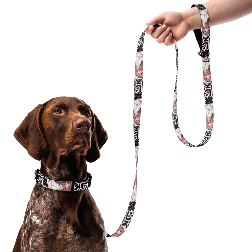 Anime Pet collar & leash