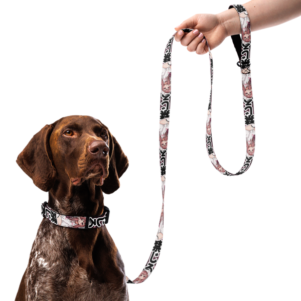 Anime Pet collar & leash