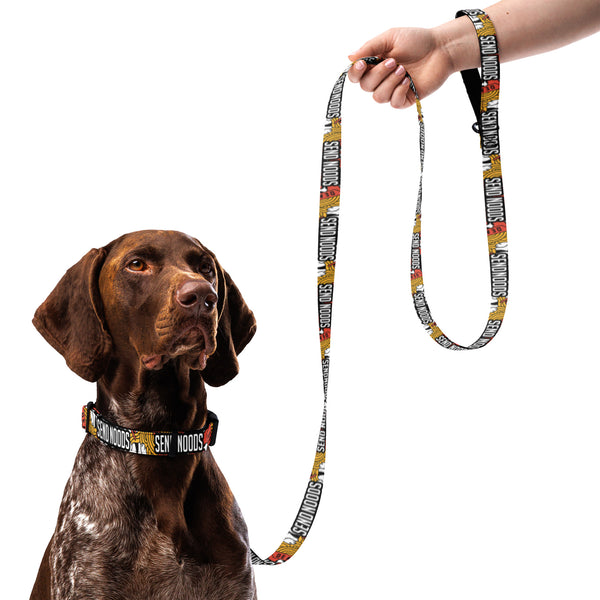 Send Noods Pet collar & leash