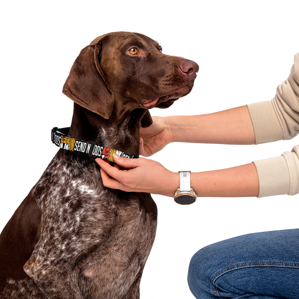 Send Noods Pet Collar