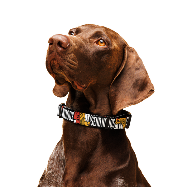 Send Noods Pet Collar